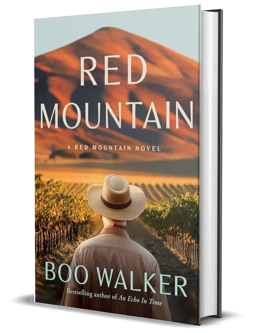 Published book 12